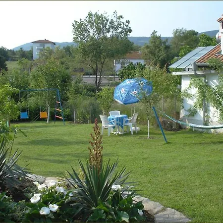 Bellis فيلة